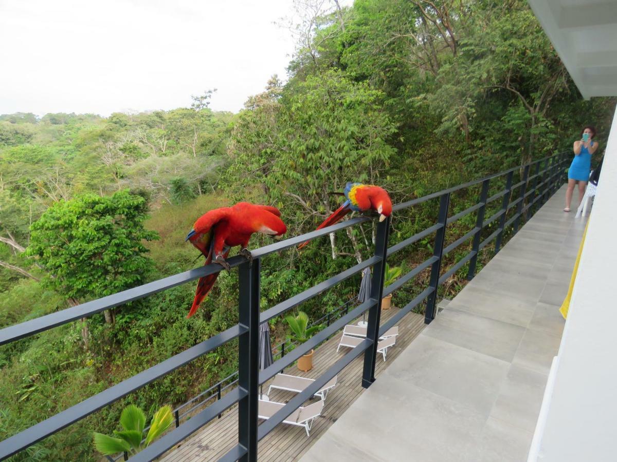 La Maison Blanche Manuel Antonio Dış mekan fotoğraf